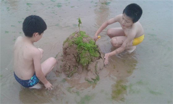 2013726183313161 2013726183313161